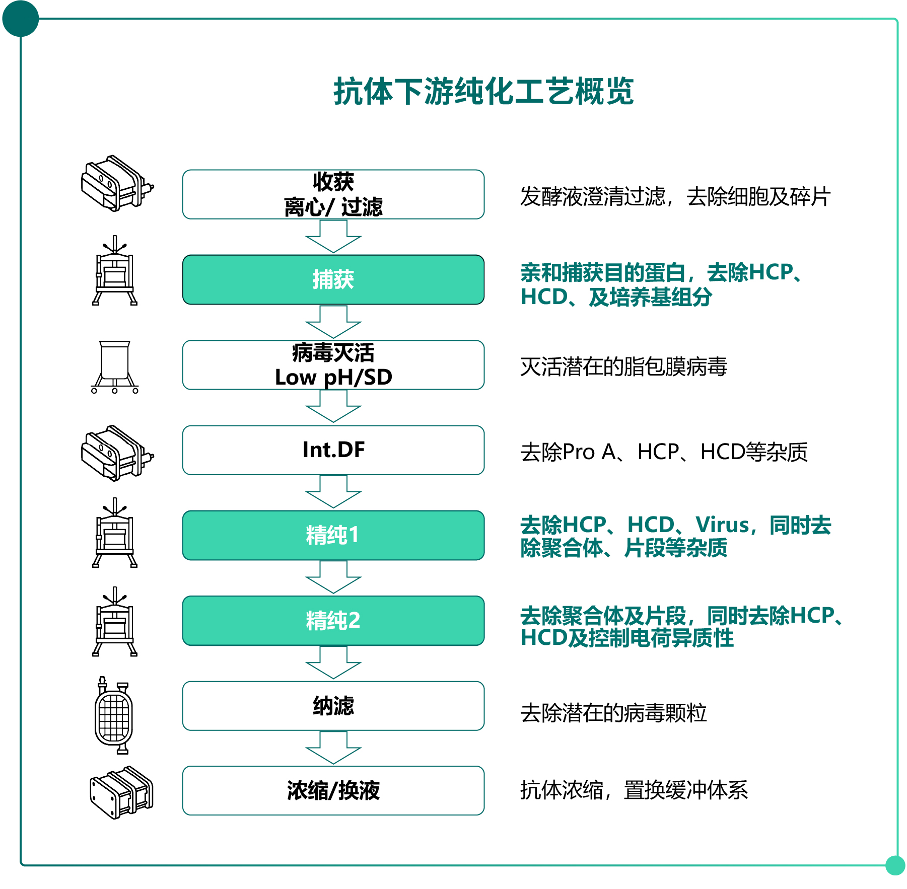 抗体纯化入门指南5